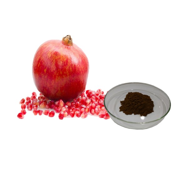 Pomegranate Peel Extract Supplier - 40% Ellagic Acid Polyphenols Bulk