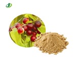 Camu Camu Extract Factory - 20% VC Fruit Powder Custom Formula