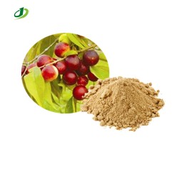 Camu Camu Extract Factory - 20% VC Fruit Powder Custom Formula