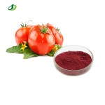 Tomato Powder Factory - Fruit Extract Powder Food Grade Custom