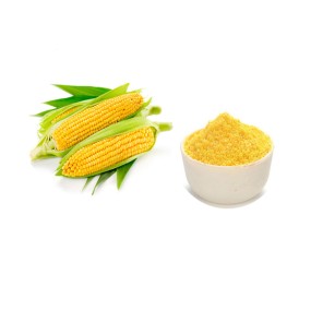 Sweet Corn Extract Powder Factory - Spray Dried Food Additive Bulk