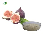 Fig Fruit Powder Manufacturer - Dried Cactus Fruit Powder Bulk