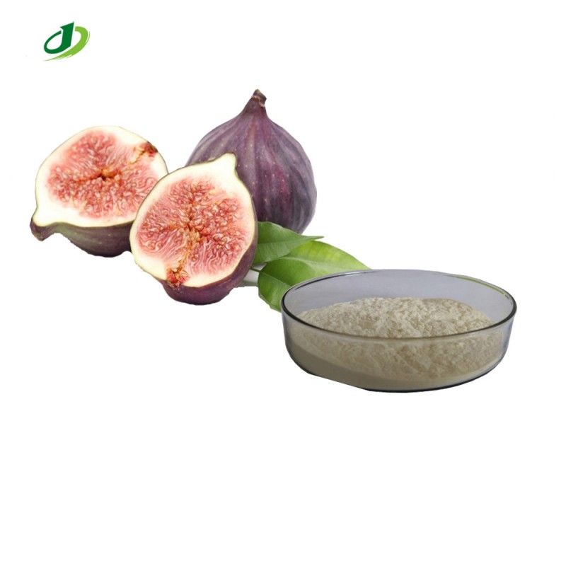 Fig Fruit Powder Manufacturer - Dried Cactus Fruit Powder Bulk
