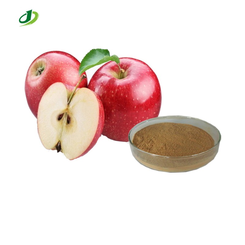 Green Apple Extract Powder Supplier - 80% Polyphenols Custom Extract