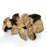 Orange Peel Extract Supplier - Xinhui Tangerine Peel Bulk