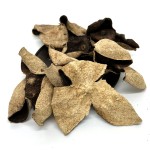 Orange Peel Extract Supplier - Xinhui Tangerine Peel Bulk