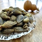 Forsythia Fruit Manufacturer - Weeping Fruit Healthy Herb Custom