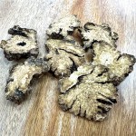 Chuanxiong Rhizome Factory - 100% Natural Single Herb Bulk