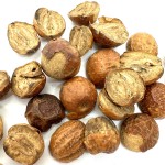 Toosendan Fruit Factory - Moves Qi Cooking Herb Custom