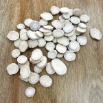 White Peony Root Supplier - Tonify Blood Dried Herb Wholesale
