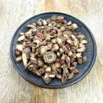 Salvia Root Supplier - Activate Blood Herbal Medicine Custom