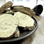 Sophora Root Factory - Lightyellow Radix Herbal Pieces Wholesale