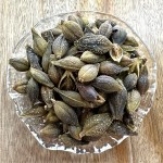 Forsythia Fruit Manufacturer - Weeping Fruit Healthy Herb Custom