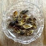 Forsythia Fruit Manufacturer - Weeping Fruit Healthy Herb Custom