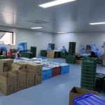 Elastic Cloth Cooling Patch Factory - 8-Hour Long Lasting OEM