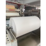 Elastic Bandage Roll Manufacturer - Skin Color Adhesive OEM