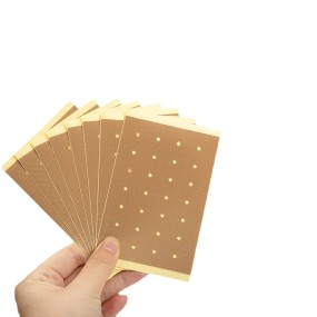 Wormwood Pain Relief Patch Manufacturer - Neck Pain Healthcare