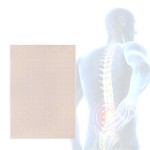 Body Pain Relief Patch Factory - Fast Acting Herbal Plaster