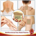 Herbal Pepper Patch Factory - Natural Pain Relief OEM
