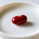 Red Bean Factory - Straight Origin Uniform Particles Bulk