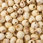 Lotus Seed Manufacturer - Freshly Shelled Natural Dried Bulk