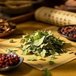 Mulberry Leaf Tea Factory - Natural Dry Herbs Whole Leaf