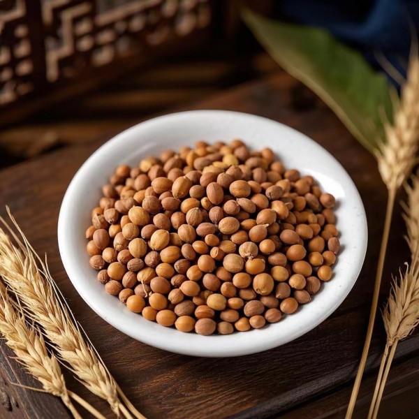 Radish Seeds Manufacturer - Lai Fu Zi Dried Spices Wholesale