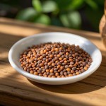 Radish Seeds Manufacturer - Lai Fu Zi Dried Spices Wholesale