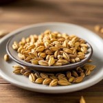 Malt Extract Factory - Organic Barley Malt Powder Pure