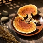 Ganoderma Lucidum Supplier - Organic Reishi Slices Whole