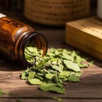 Mulberry Leaf Tea Factory - Natural Dry Herbs Whole Leaf