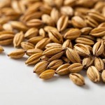 Barley Malt Powder Factory - Organic Extract Pure Natural