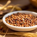 Radish Seeds Manufacturer - Lai Fu Zi Dried Spices Wholesale