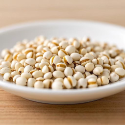 Coix Seeds Manufacturer - New Harvest Moisture Removing Direct