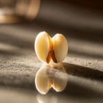 Coix Seeds Manufacturer - New Harvest Moisture Removing Direct