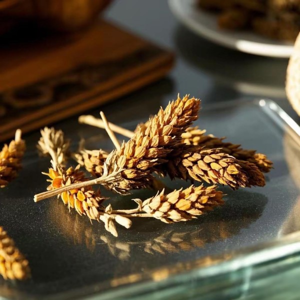 Prunella Vulgaris Manufacturer - Dried Self Heal Herb Bulk