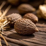 Scaphigera Tea Supplier - Chinese Herb Pang Da Hai Bulk Wholesale