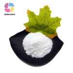 High Quality Lactobacillus Plantarum Probiotics Food Grade Lactobacillus Plantarum Powder