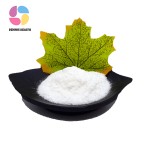 Wholesale Probiotics Lactobacillus Plantarum Food Garde Lactobacillus Plantarum Powder