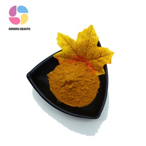 Wholesale Fo Ti Root Extract Organic Pure He Shou Wu Extract/Fo Ti Root Extract Powder