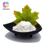 High Quality Bacillus Subtilis Feed Grade Probiotics Bacillus Subtilis Powder