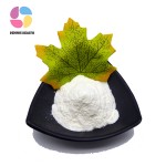 High Quality Food Grade Zinc Citrate Cas 546-46-3 99%