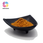 Wholesale Fo Ti Root Extract Organic Pure He Shou Wu Extract/Fo Ti Root Extract Powder