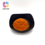 Best Selling Grape Seed Plant Extract Natural Grape Seed Plant Extract Powder