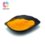 Hot Selling Vitamin B9 Health Care Vitamin B9 Folic Acid Powder