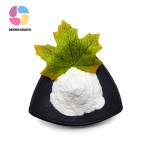 Chinese Supplier L-Theanine Green Tea Extract L-Theanine Powder