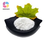 High Quality Bifidobacterium Lactis 99% Probiotics Bifidobacterium Lactis Powder