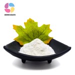 Wholesale Price CAS 480-18-2 Larch Extract Powder 98% Dihydroquercetin 10g/bag