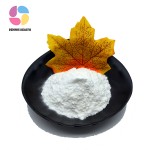 Wholesale Probiotics 10 Billion CFU/g Freeze-dried Lactic Acid Bacteria Powder Bifidobacterium Adolescentis