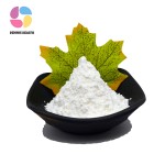 Factory Price Nutritional Supplement L-Choline L-Bitartrate/ L Choline Bitartrate Powder